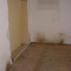 34_CIMG0064 Kopie.jpg