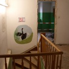 36_CIMG0070 Kopie.jpg